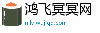 鸿飞冥冥网